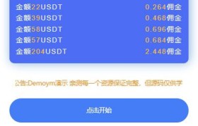 华洋usdt支付通道(usdt数字货币支付通道)