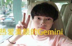 gemini是什么(Gemini是什么公司)