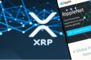 xrp区块链浏览器(区块浏览器查询xrp交易信息)