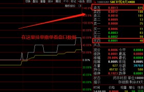 正规的期权分仓公司(哪个证券公司可以开期权分仓)