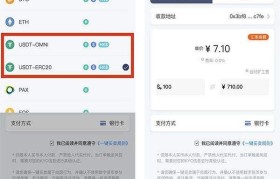 usdt支付通道(usdt支付通道微信支付宝)