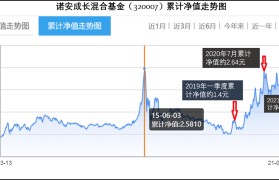 灰度基金持仓查询(灰度基金最新持仓量)