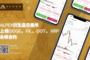 xrp合约地址(xrp永续合约什么意思)