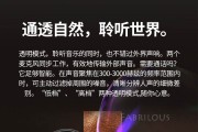 双子星gemini官方网站(双子星gemini pro说明书)