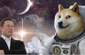 doge行情(doge行情交流群)