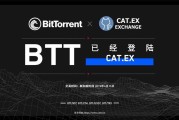 BTT币最新价格(btt币的今日价格)