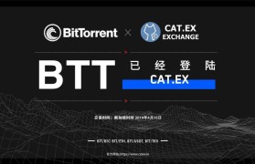 BTT币最新价格(btt币的今日价格)