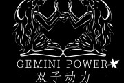 gemini代理(gemini corporation)