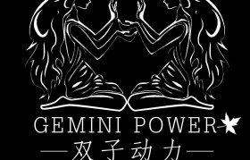 gemini代理(gemini corporation)