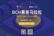 bch浏览器(波场区块链浏览器)