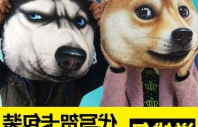 doge最新价格(doge最新价格行情)