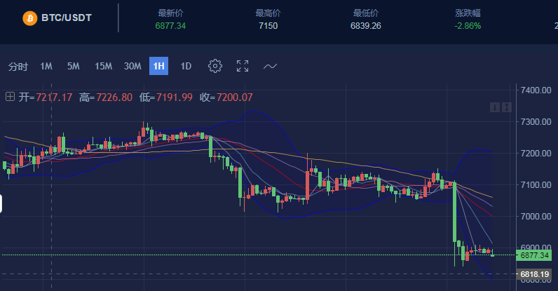 btc价格今日行情(btc价格今日行情走势分析)