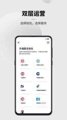 数字人民币app(数字人民币app无法打开)