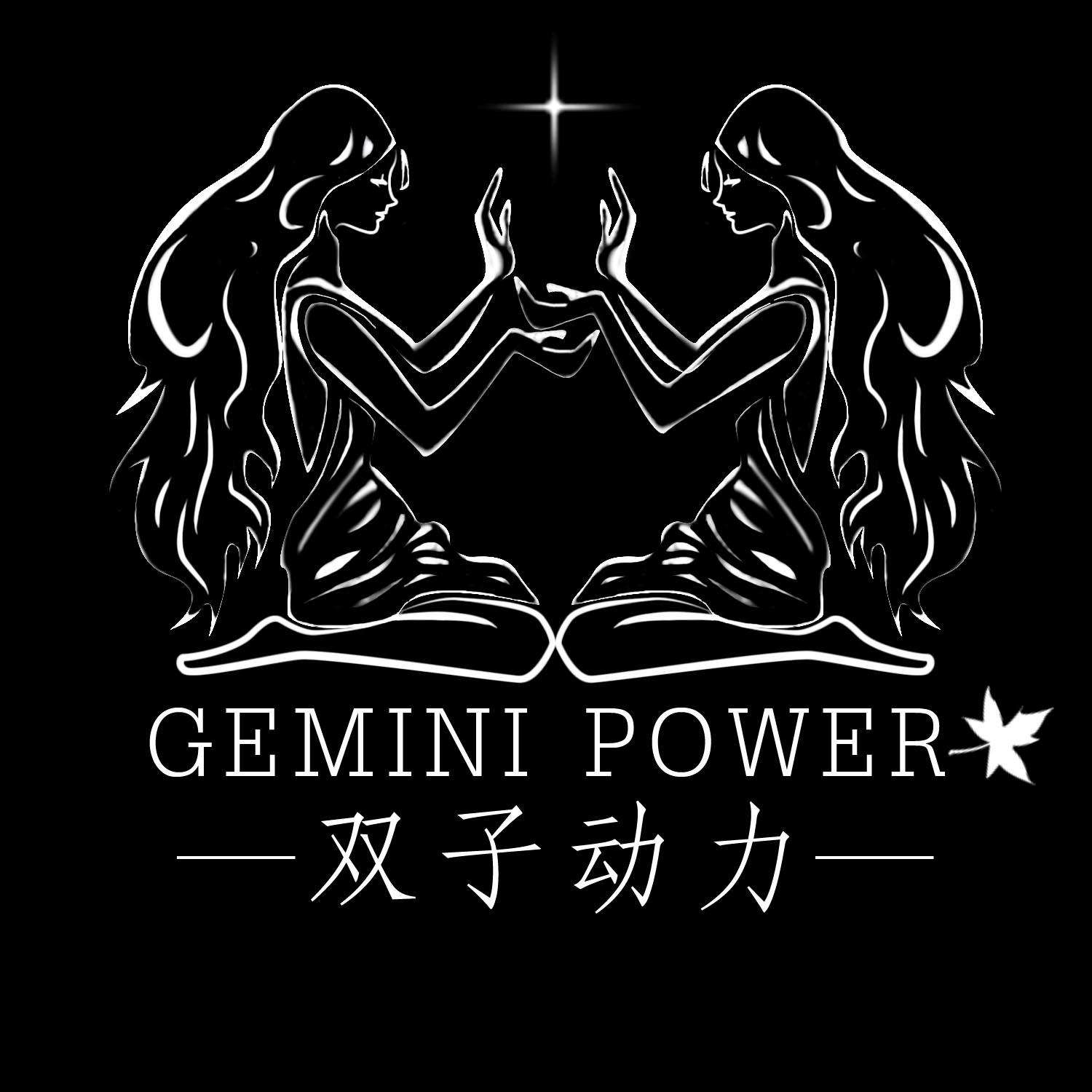 gemini代理(gemini corporation)