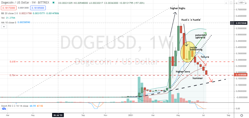 doge最新走势(dogecoin走势)