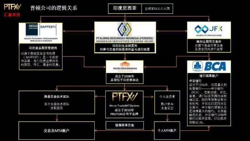 ptfx官网(ptfx官网中文)