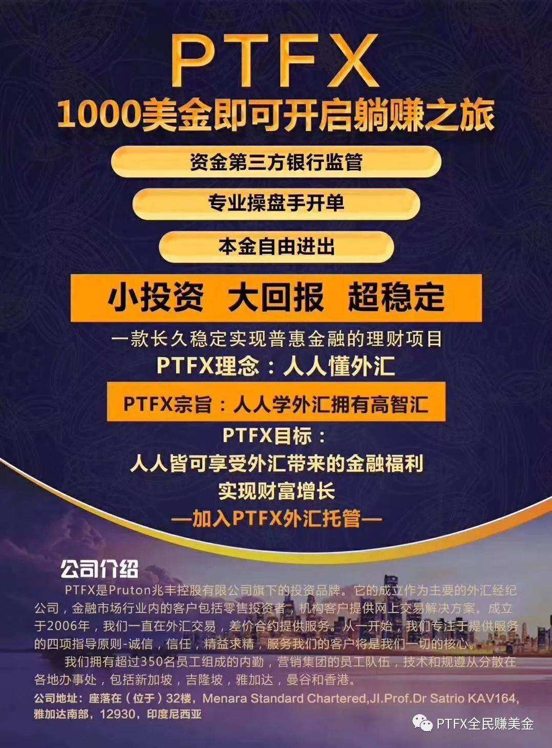 ptfx官网(ptfx官网中文)