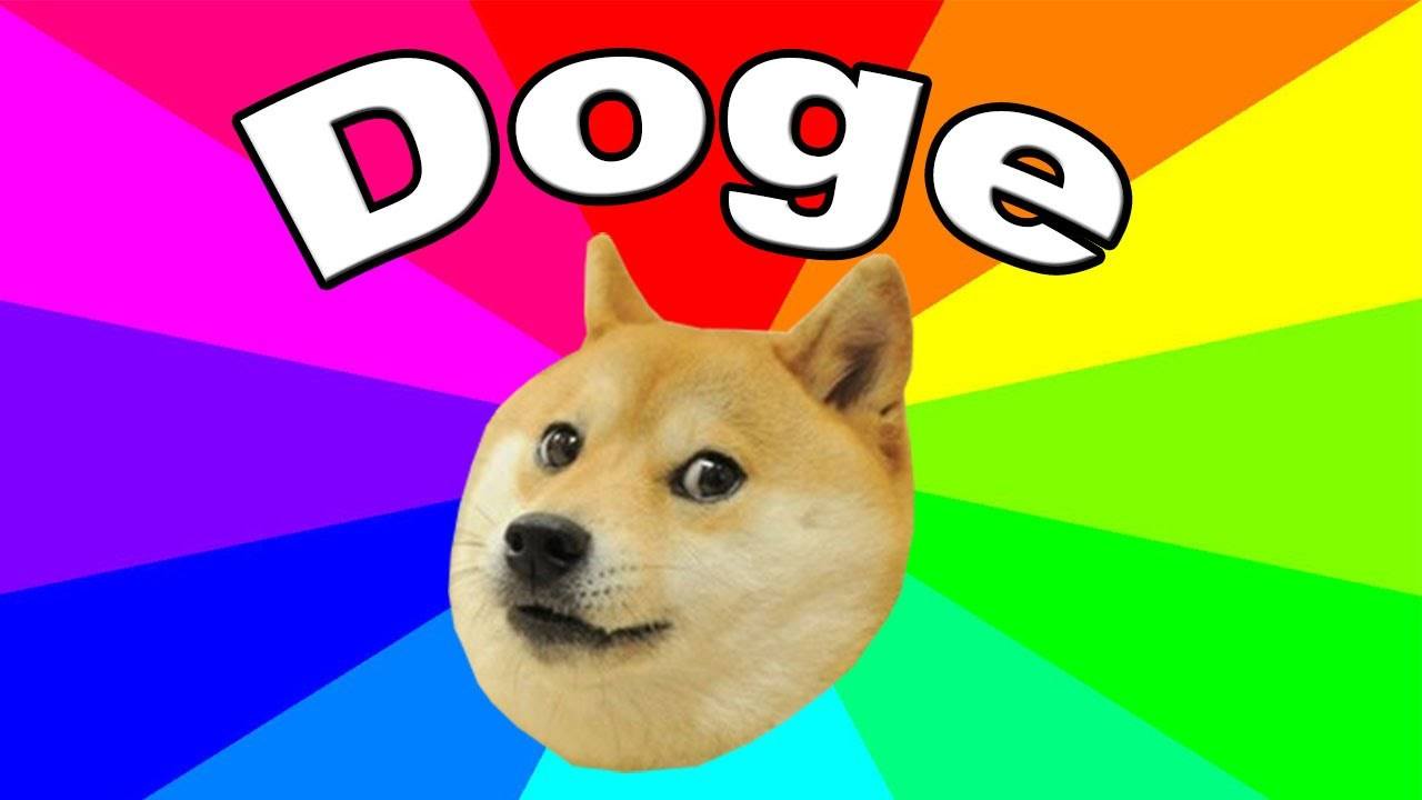 doge游戏(dogbyte games)