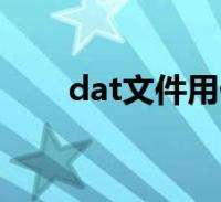 DAT币是什么(DAT币是什么币)