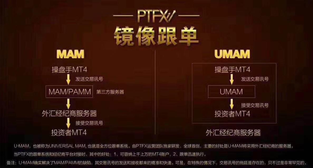 ptfx官网(ptfx官方网站)