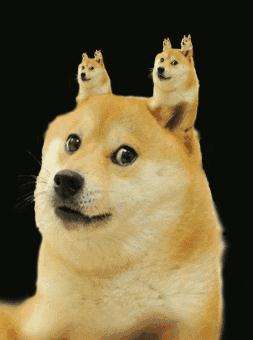 doge(dogers)