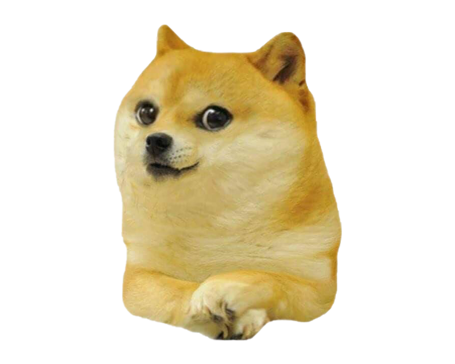 doge吧(babydoge吧)