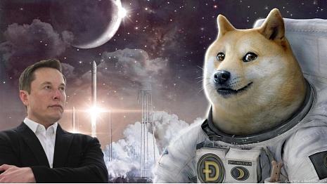 doge行情(doge行情交流群)