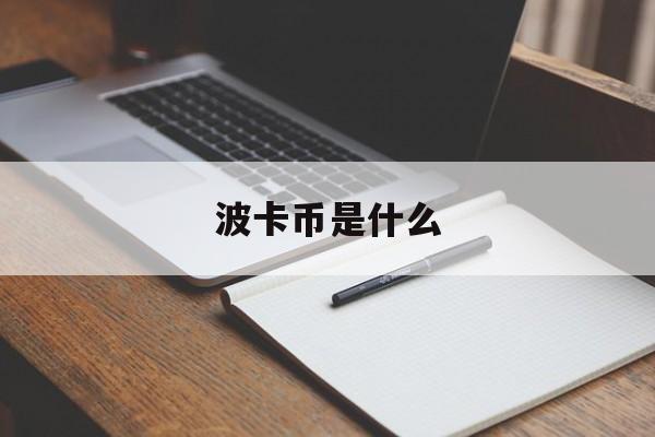 波卡币是什么(波卡币是什么意思)